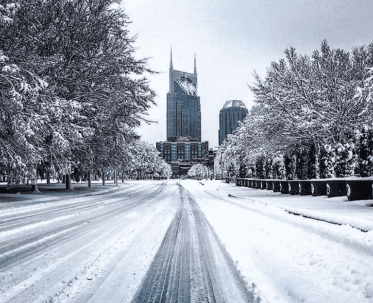 Best Things to Do in Nashville in January